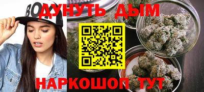 мет Дубна