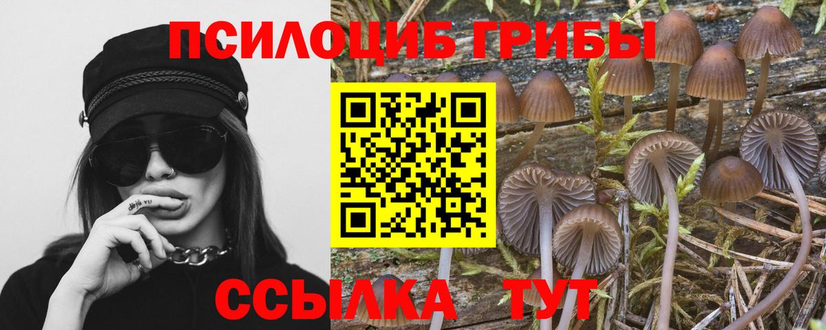 Галлюциногенные грибы Magic Shrooms Мценск