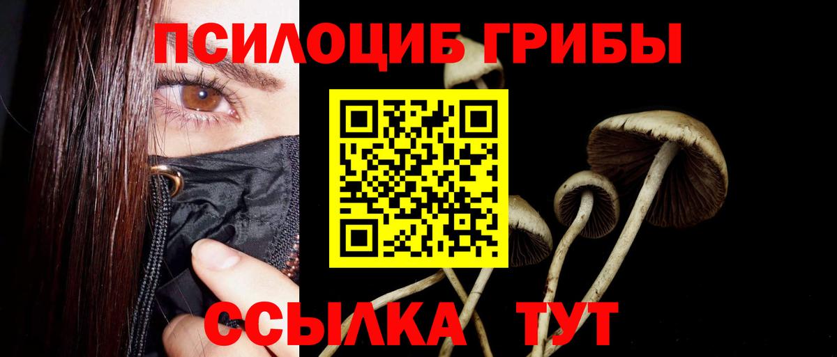 Мценск  Галлюциногенные грибы ЛСД  Вход с VPN  Галлюциногенные грибы Psilocybe 